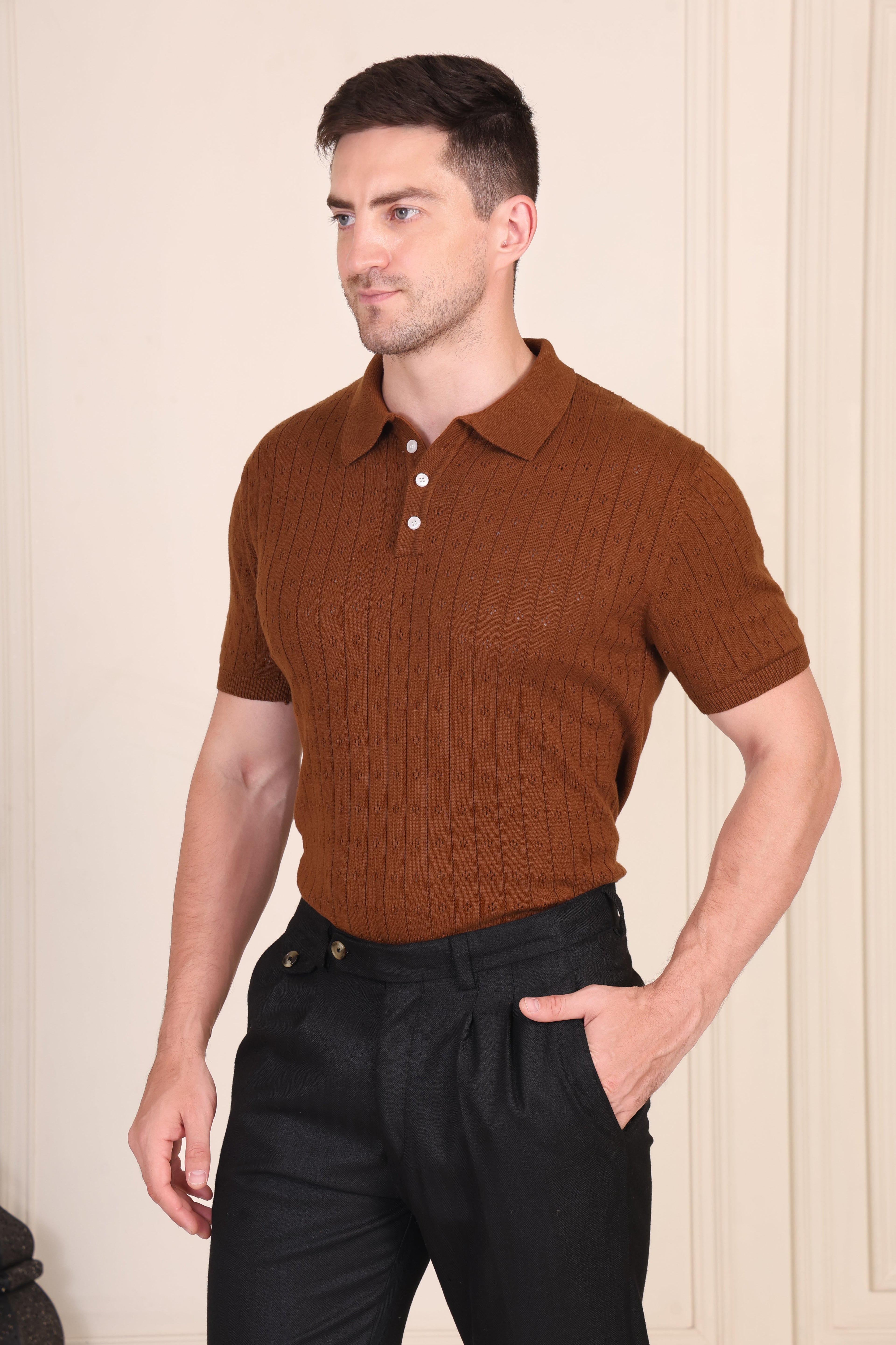 Brown Wide Stripes Half Sleeves Knit Polo by ITALIAN VEGA