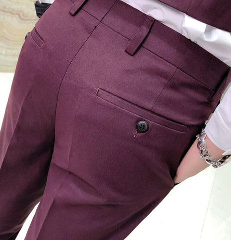 British Stylish Wine Formal Pants – Italian Vega™